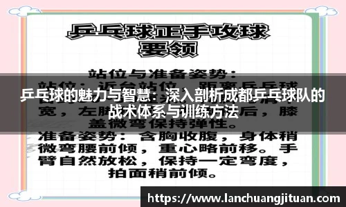 乒乓球的魅力与智慧：深入剖析成都乒乓球队的战术体系与训练方法